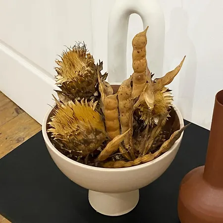 Sur Au Portugal. 피게이라다포즈